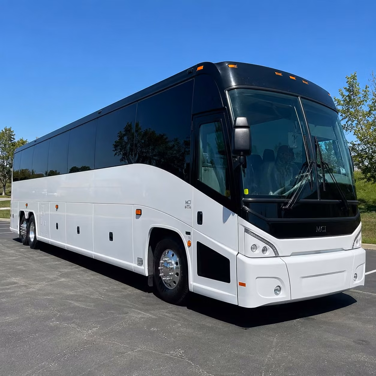 cruise transfers from lakeland to port tampa bay and port canaveral
